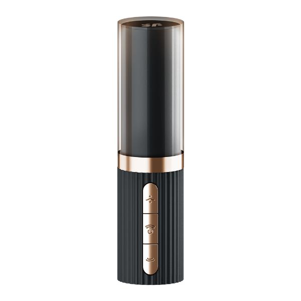 Satisfyer Pro 2 Kiss - Hashtag Desire